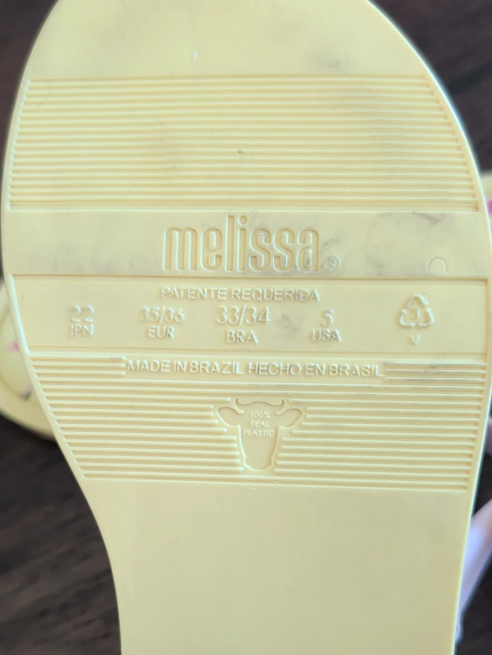 Melissa / Jason Wu Flip Flop Sandals